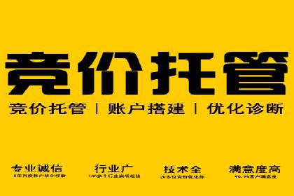 SEM竞价员实战：如何应对竞争激烈市场